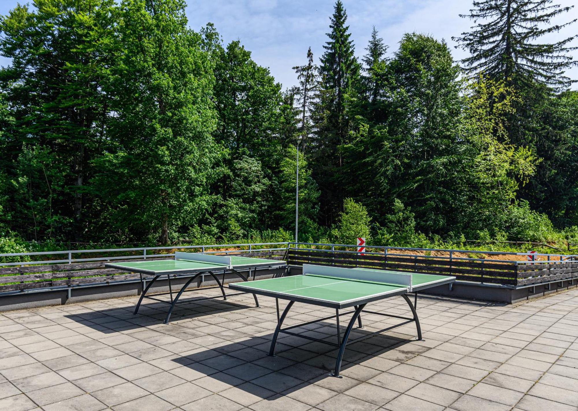 Apartment "Mountain Relax" ポイアナ・ブラショフ エクステリア 写真